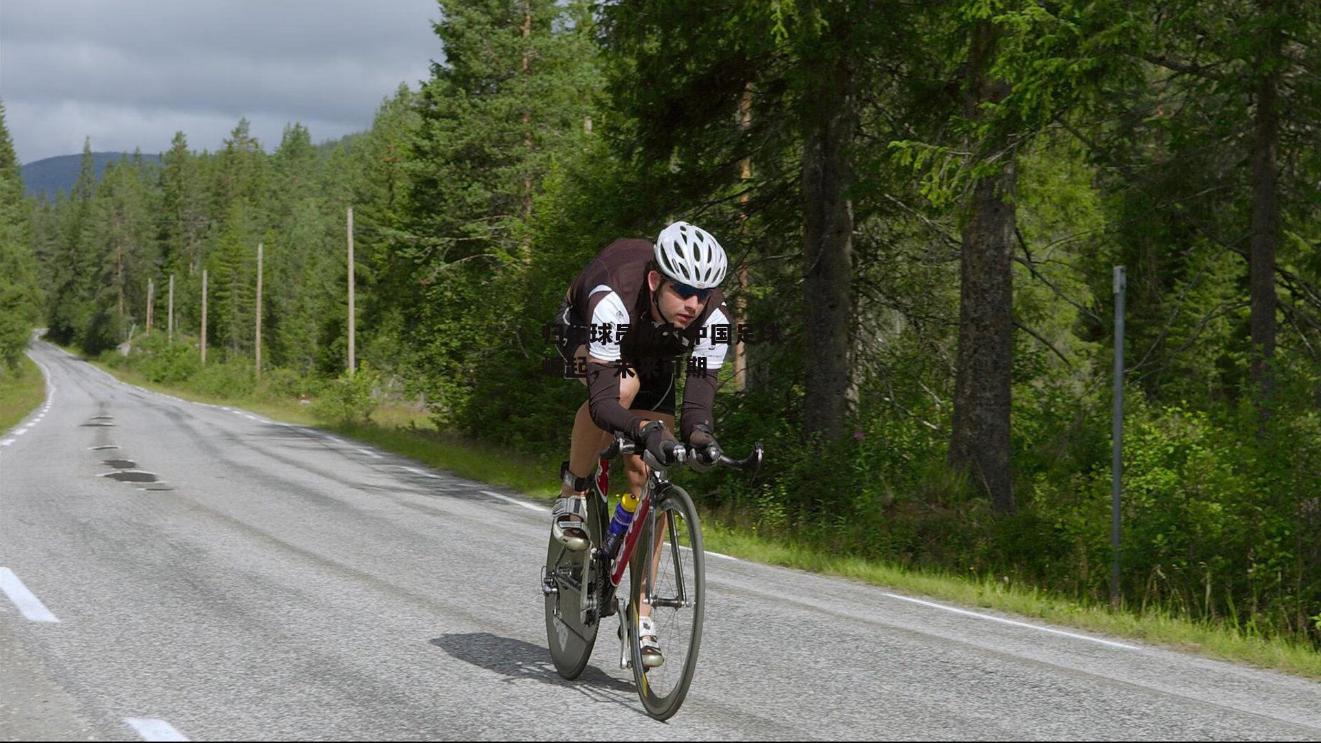 归化球员助力中国足球崛起,未来可期