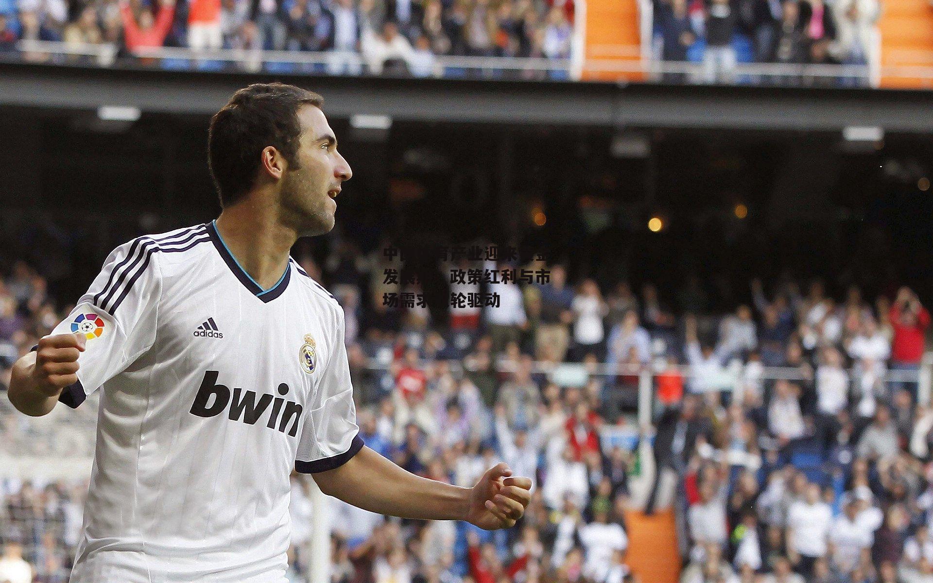 中国体育产业迎来黄金发展期，政策红利与市场需求双轮驱动