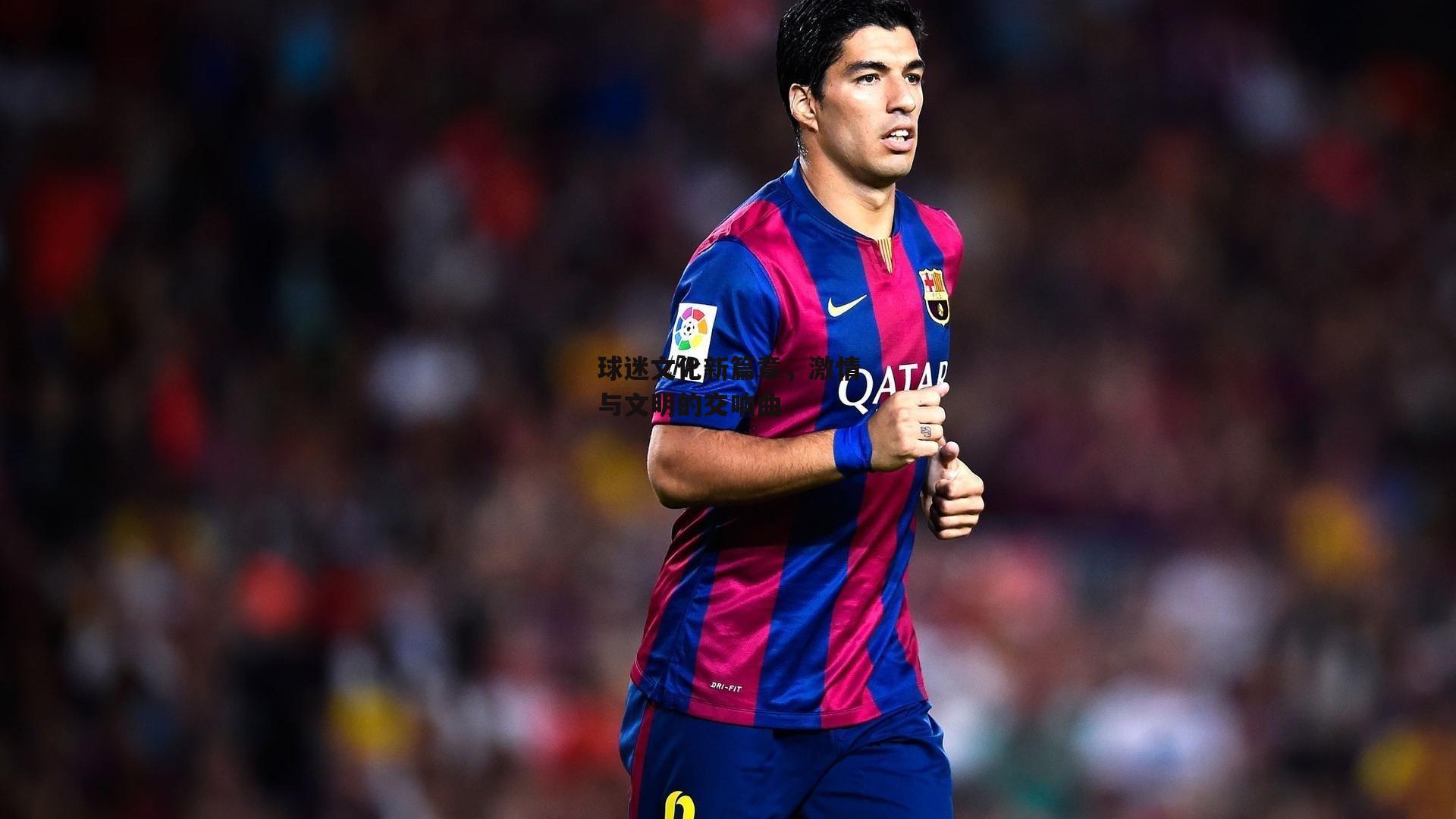 yy易游体育官方网站：球迷文化新篇章，激情与文明的交响曲