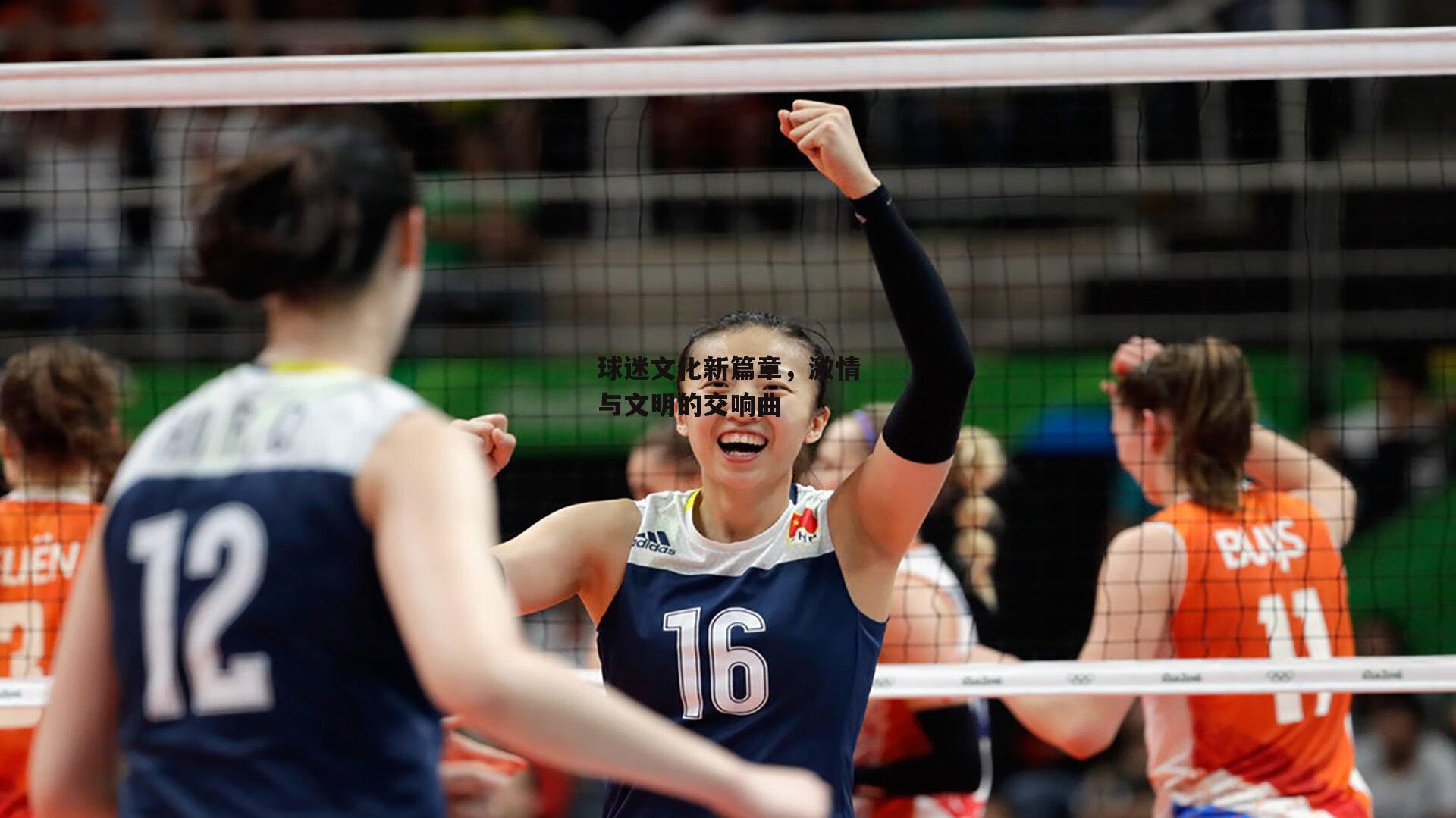 球迷文化新篇章,激情与文明的交响曲