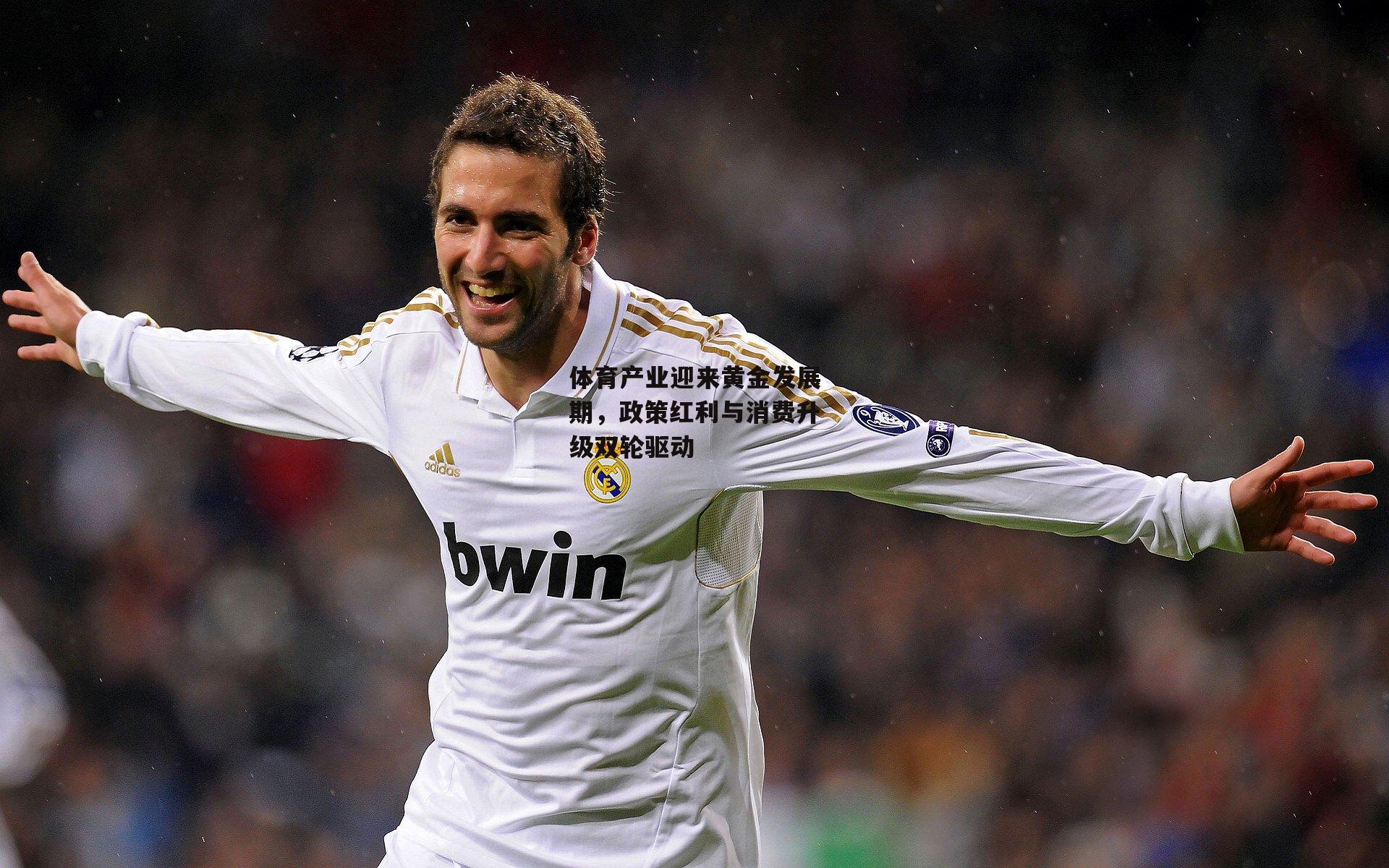 体育产业迎来黄金发展期，政策红利与消费升级双轮驱动