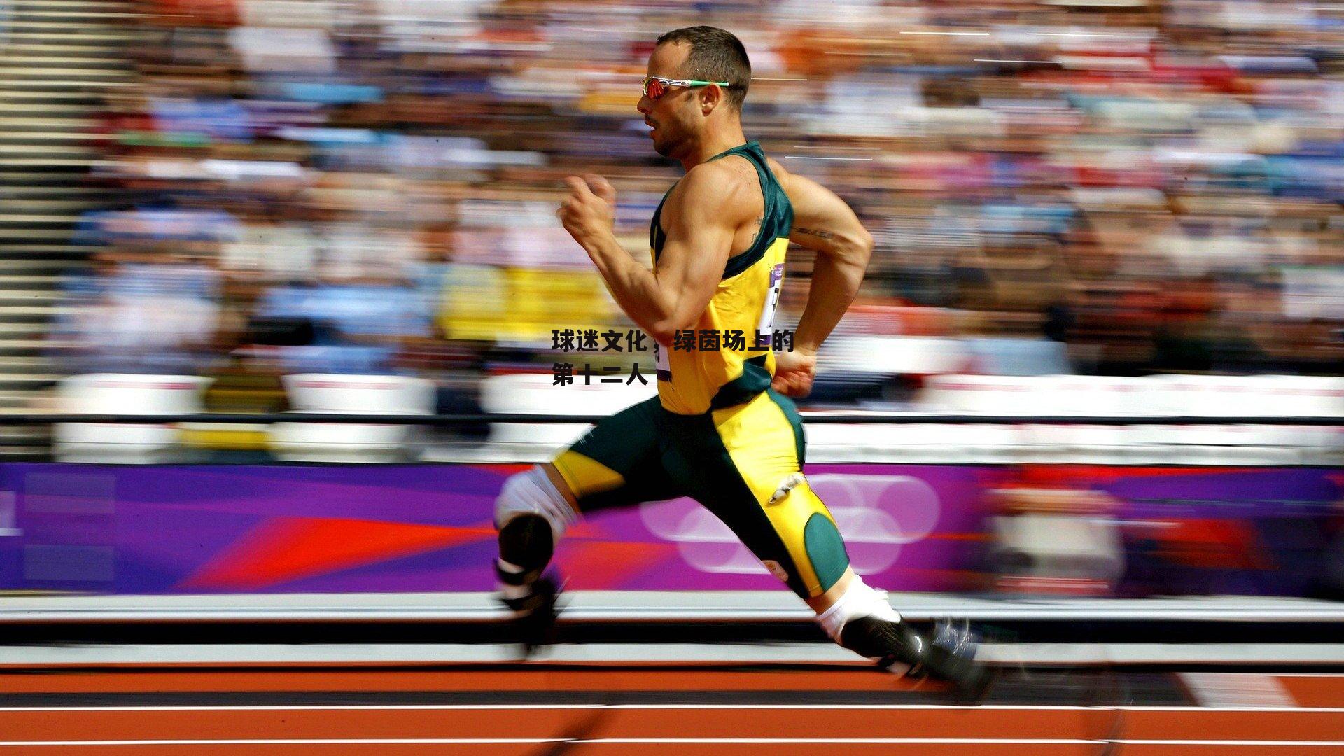 yy易游体育官方网站|球迷文化，绿茵场上的第十二人