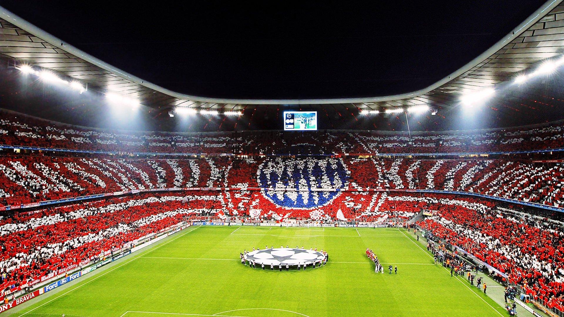 中国跳水队再创辉煌,世界杯斩获四金完美收官